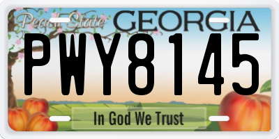 GA license plate PWY8145