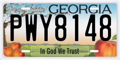 GA license plate PWY8148