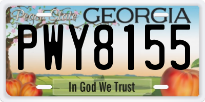 GA license plate PWY8155