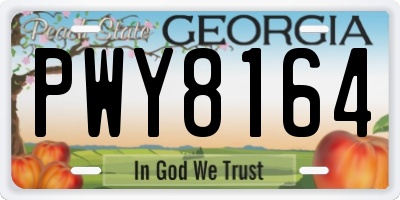 GA license plate PWY8164