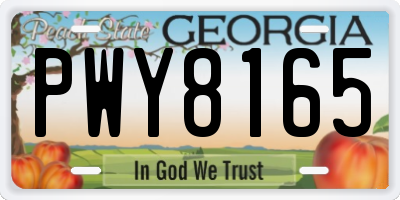 GA license plate PWY8165