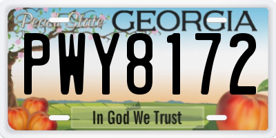 GA license plate PWY8172