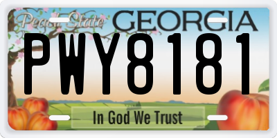 GA license plate PWY8181