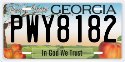 GA license plate PWY8182