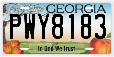GA license plate PWY8183