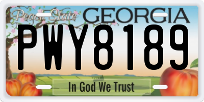 GA license plate PWY8189