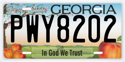 GA license plate PWY8202