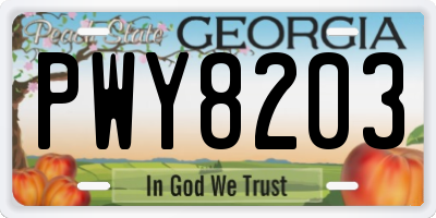 GA license plate PWY8203