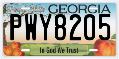 GA license plate PWY8205