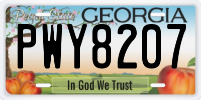 GA license plate PWY8207