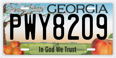 GA license plate PWY8209