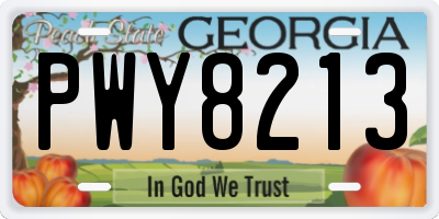 GA license plate PWY8213