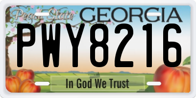 GA license plate PWY8216