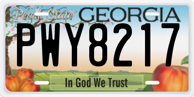GA license plate PWY8217