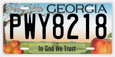 GA license plate PWY8218