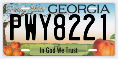 GA license plate PWY8221