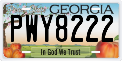 GA license plate PWY8222