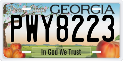 GA license plate PWY8223