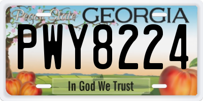 GA license plate PWY8224