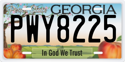 GA license plate PWY8225