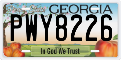 GA license plate PWY8226