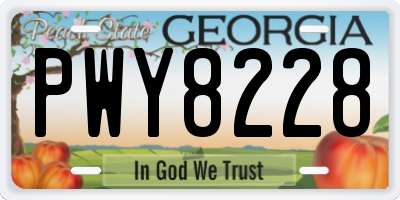 GA license plate PWY8228