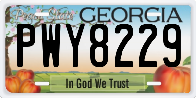 GA license plate PWY8229