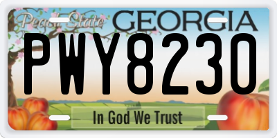 GA license plate PWY8230
