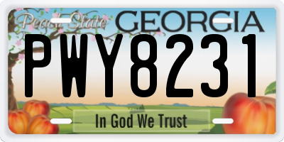GA license plate PWY8231