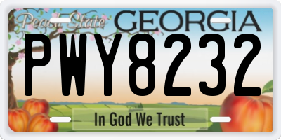 GA license plate PWY8232