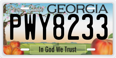 GA license plate PWY8233