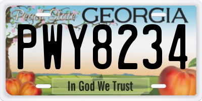 GA license plate PWY8234