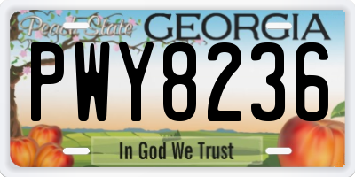 GA license plate PWY8236