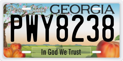 GA license plate PWY8238