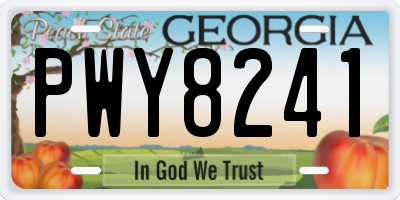 GA license plate PWY8241