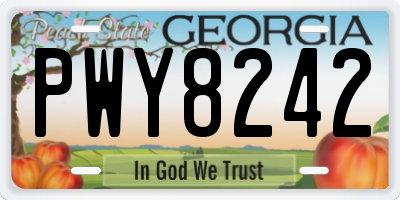 GA license plate PWY8242