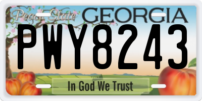 GA license plate PWY8243