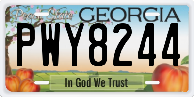 GA license plate PWY8244