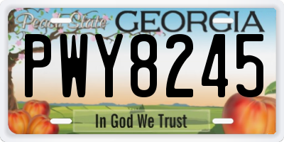 GA license plate PWY8245