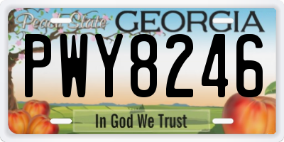 GA license plate PWY8246