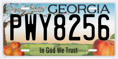 GA license plate PWY8256