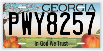 GA license plate PWY8257