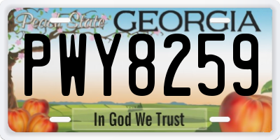 GA license plate PWY8259