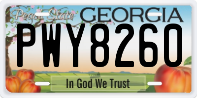 GA license plate PWY8260