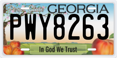 GA license plate PWY8263
