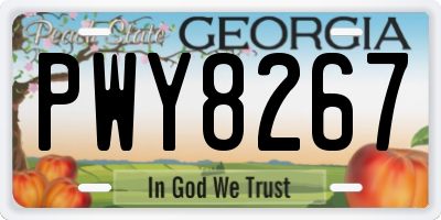 GA license plate PWY8267