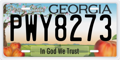 GA license plate PWY8273