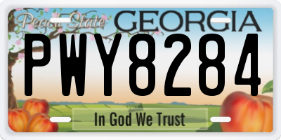 GA license plate PWY8284