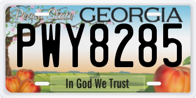 GA license plate PWY8285