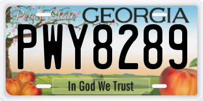GA license plate PWY8289
